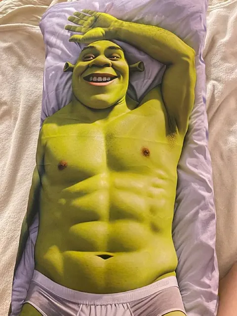 Шрек на подушке