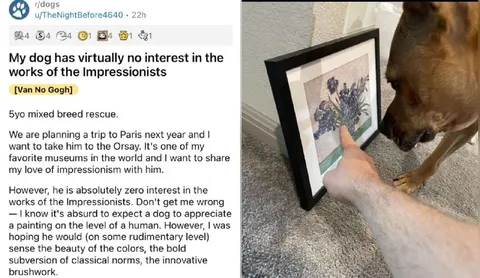 Dog Has No Interest in Impressionism