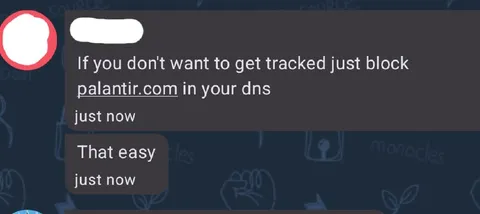 Block Palantir in Your DNS