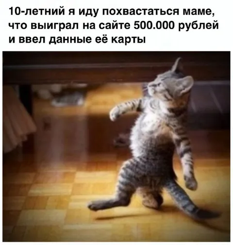 Десятилетний победитель сайта