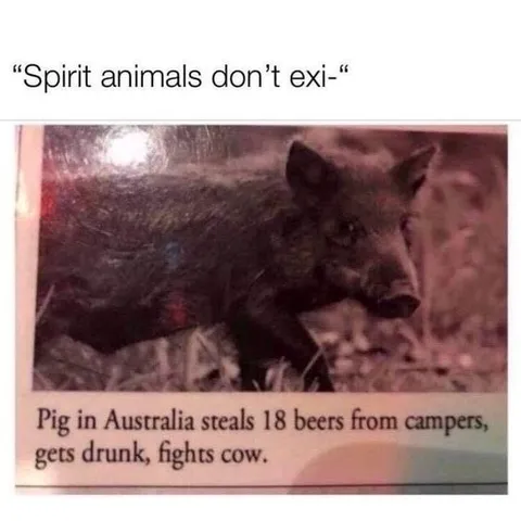 Drunk Pig Fights Cow
