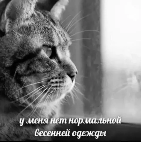 Нет нормальной весенней одежды