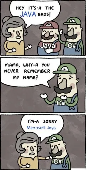 Java Bros C# Name Mix-Up