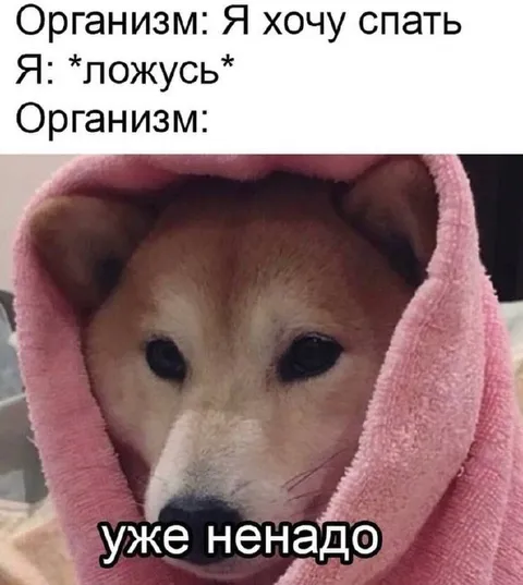 Организм передумал спать