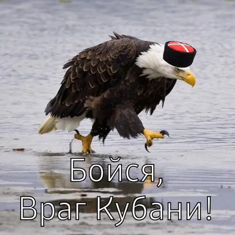 Бойся, враг Кубани