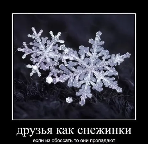 Друзья как снежинки