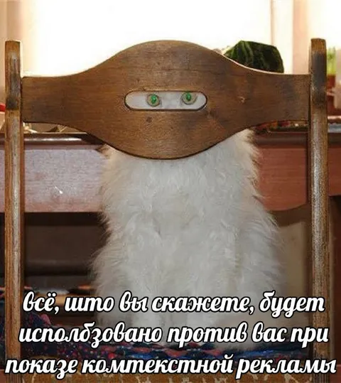 Кот на допросе контекстной рекламой