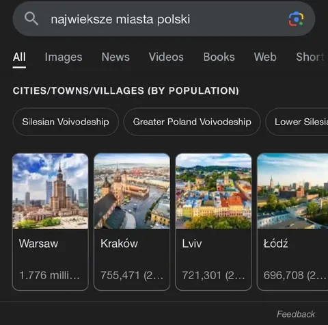 Największe miasta Polski według Google