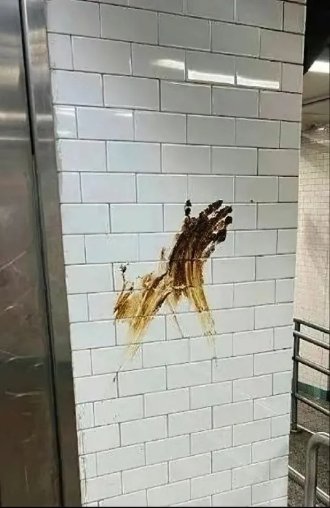 Лошадь из пятна на стене
