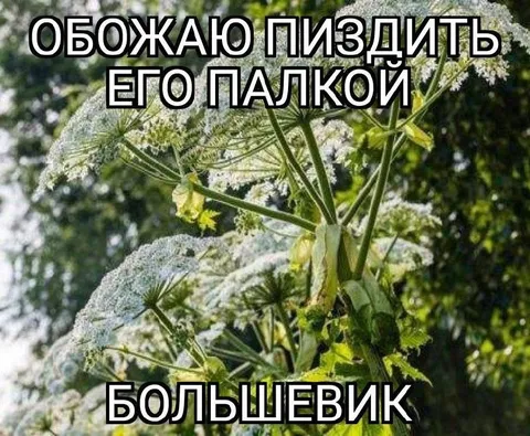 Обожаю пиздить его палкой