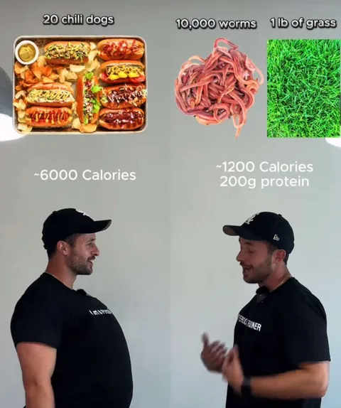 Hot Dogs Versus Worms and Grass