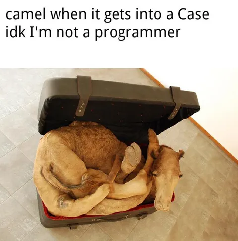 CamelCase Camel in a Suitcase