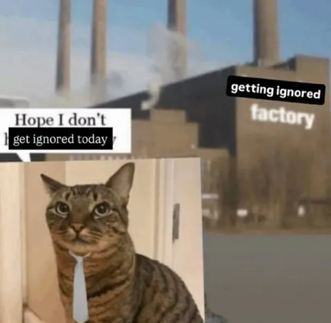 Cat Gets Ignored at the Factory