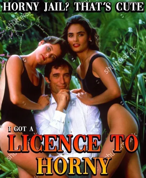 Licence to Horny