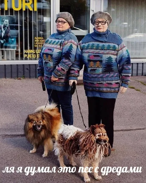 Пёс с дредами