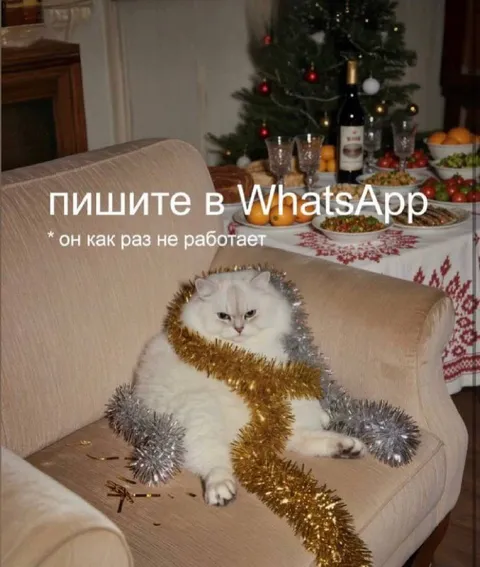 Кот в гирлянде без WhatsApp