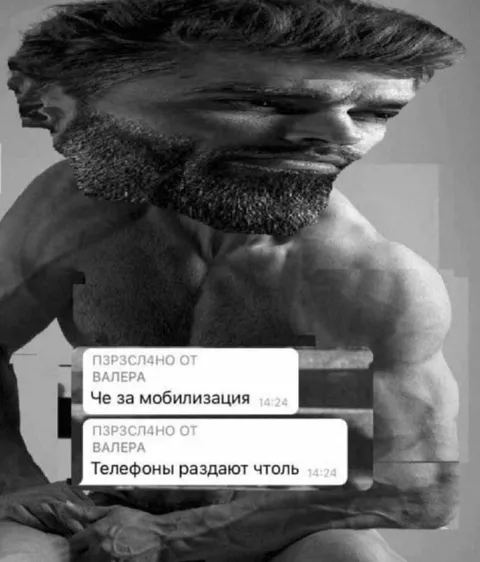 Че за мобилизация