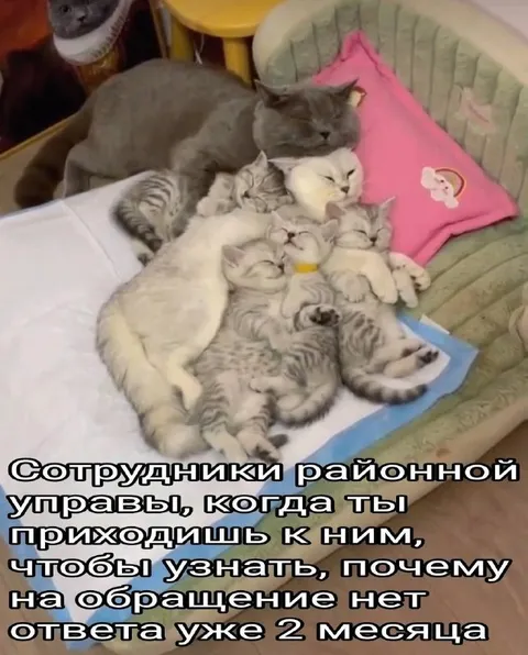 Сотрудники районной управы