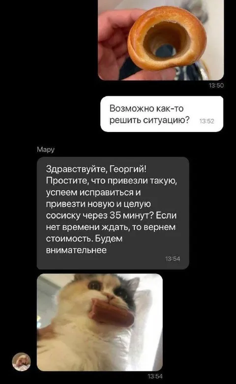 Кот с испорченной сосиской