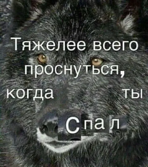 Тяжелее всего проснуться после сна