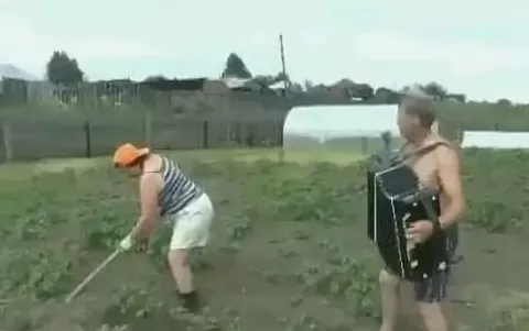 Гармонистка на огороде
