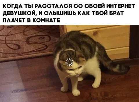 Расстался с девушкой и услышал плач