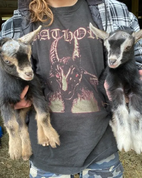 Goat Kids Match the Shirt