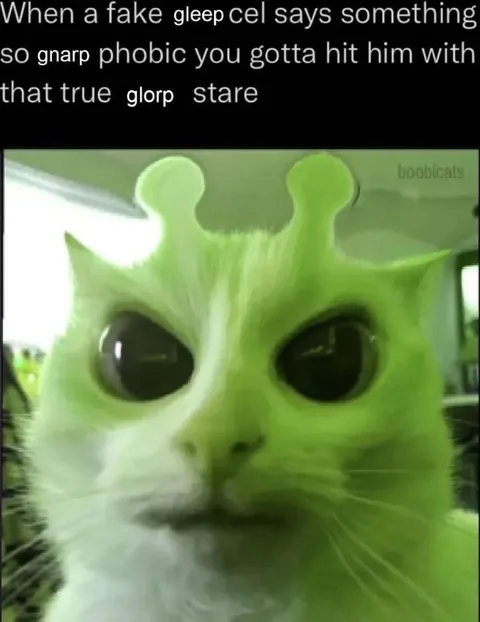 Fake Gleep Cel Says Something Phobic