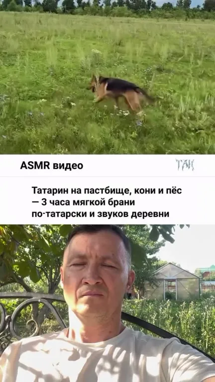 Татарин ругается на пастбище