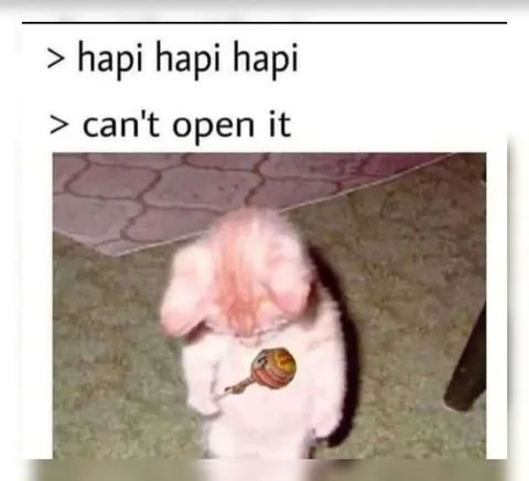 Hapi Hapi Hapi Can't Open It