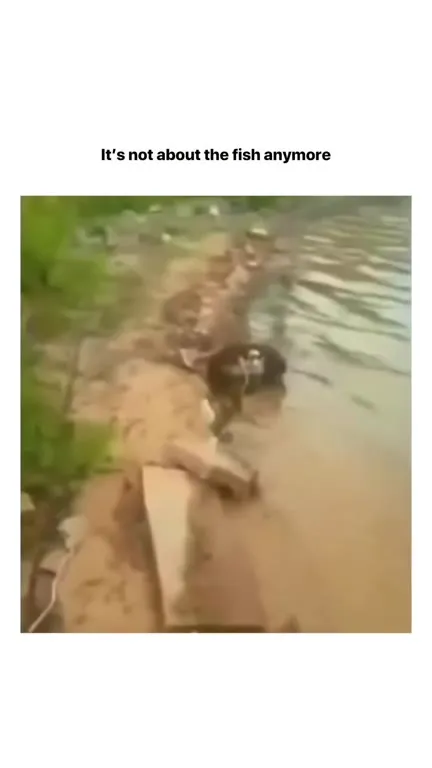 It’s Not About the Fish Anymore