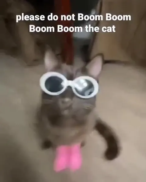 Boom Boom Cat in Pink Boots