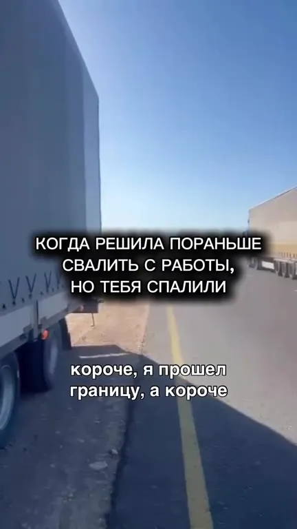 Собака сбежала с работы