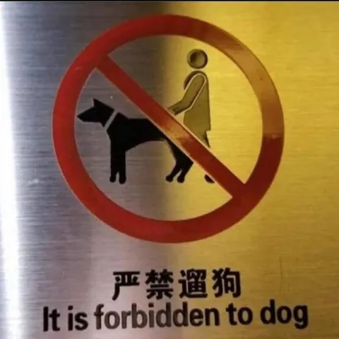It Is Forbidden to Dog
