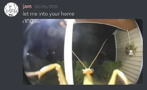 Praying Mantis at the Door