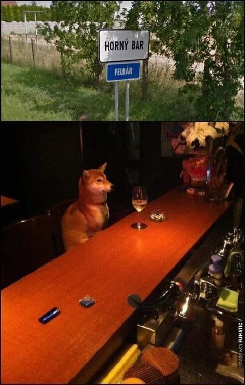 Horny Bar Dog