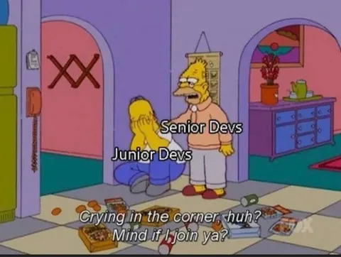 Senior Devs Comfort Junior Devs