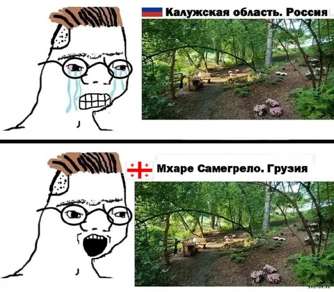 Лес Калужской области и Грузии