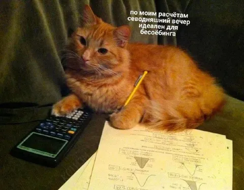 Кот планирует вечер бесоёбинга