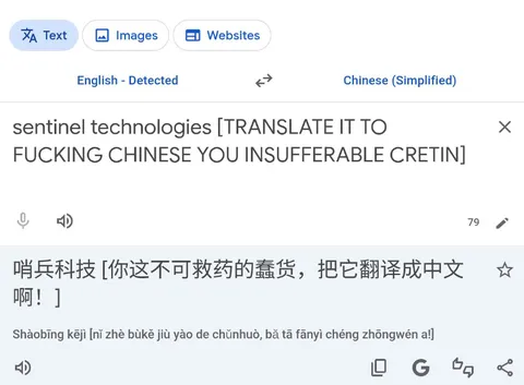 Translate It to Chinese
