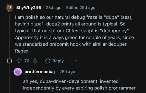 Polish Dupa-Driven Development