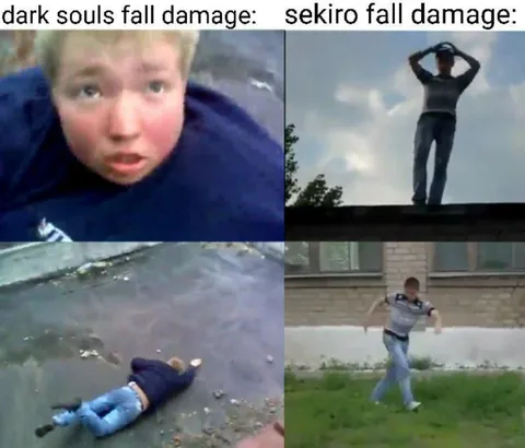Dark Souls vs Sekiro Fall Damage