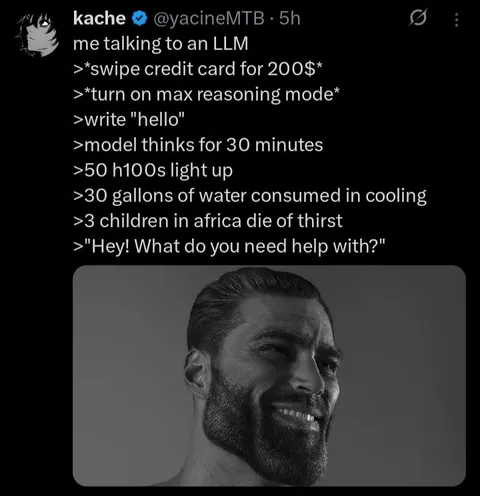 LLM Takes 30 Minutes to Say Hello