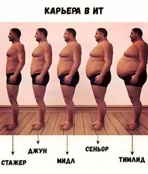 Карьера в IT от стажера до тимлида
