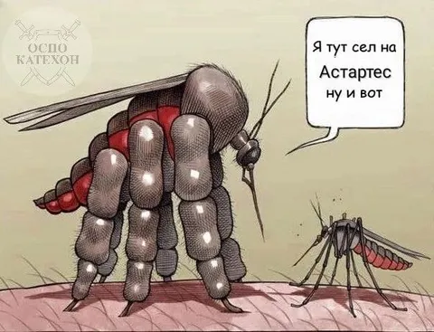 Комар сел на Астартес