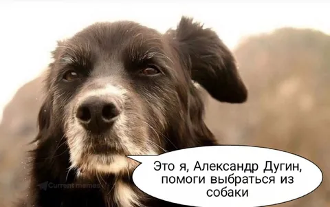 Александр Дугин пытается сбежать из собаки
