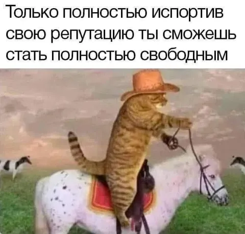 Полностью испорченная репутация