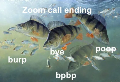 Fish Zoom Call Goodbye