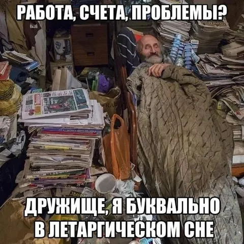 Дружище, я буквально в летаргическом сне