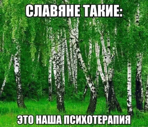 Славяне и берёзовая психотерапия